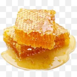 蜜蜂蜂胶,免抠元素