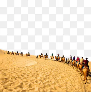 沙漠中行走的骆驼,免抠元素