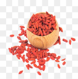 鲜枸杞免扣素材,免抠元素