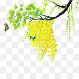 手绘春天树枝和蝴蝶,免抠元素(2000*2000px)psd模版下载