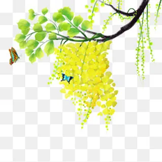 手绘春天树枝和蝴蝶,免抠元素