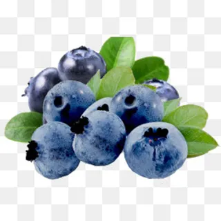 实物新鲜清新蓝莓,免抠元素