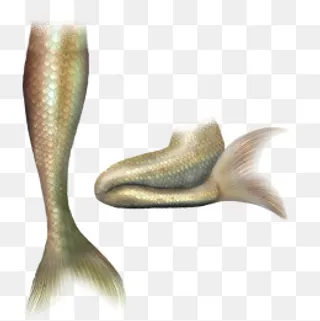 美人鱼素材,免抠元素