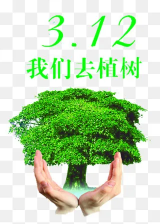 绿色手捧绿树3.12我们去种树,免抠元素