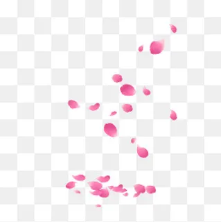 情人节散落的花瓣PNG,免抠元素