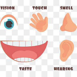 矢量人体五官下载