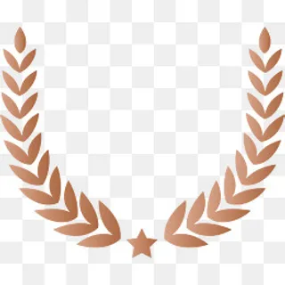 星星*标志麦穗,免抠元素