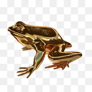 精美摆件黄金青蛙素材,免抠元素