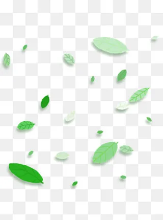 植物树叶叶子漂浮气氛电商装饰免