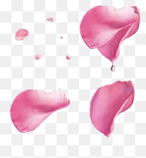 粉色玫瑰花花瓣漂浮素材,免抠元素 粉色玫瑰花花瓣漂浮素材,免抠元素