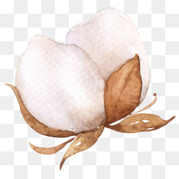 侧面木棉图PNG,免抠元素