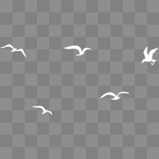 白色漂浮飞鸟,免抠元素