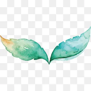 手绘小清新水彩植物叶子矢量素材,免抠元素