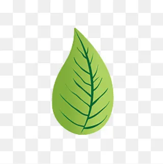 夏季树叶手绘png下载,免抠元素