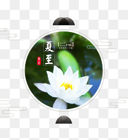 清新文艺荷花夏至图标,免抠元素(4724X5147(DPI:200))psd模版下载
