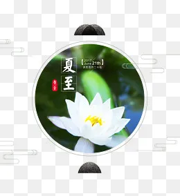 清新文艺荷花夏至图标,免抠元素(4724X5147(DPI:200))psd模版下载