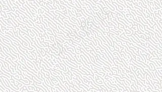 抽象有机线条背景