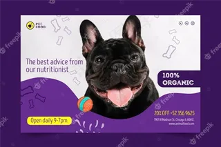 动物食品横幅banner概念