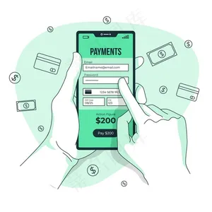 支付信息概念说明