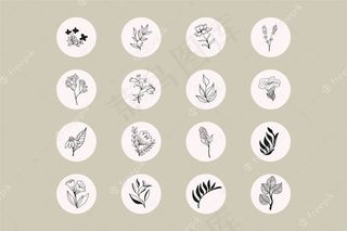 Instagram手绘花卉故事亮点