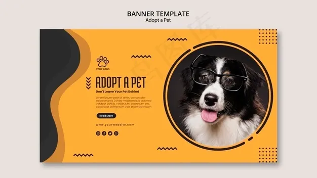 领养带眼镜的宠物狗横幅banner模板psd模版下载