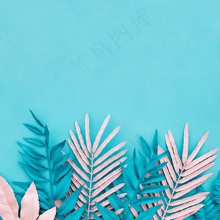 蓝色背景上有蓝色和粉红色的棕榈叶