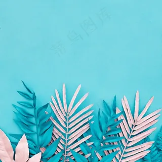 蓝色背景上有蓝色和粉红色的棕榈叶