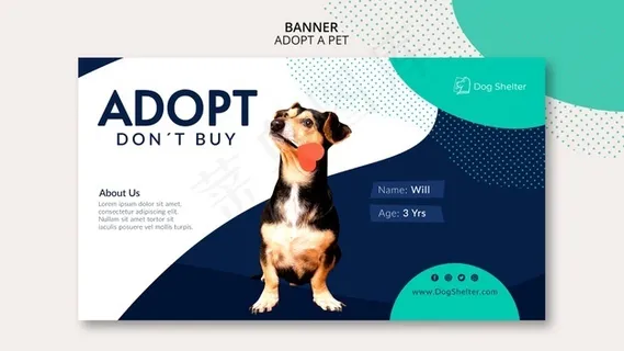 采用宠物横幅banner模板