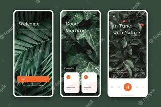 冥想应用收集模板
