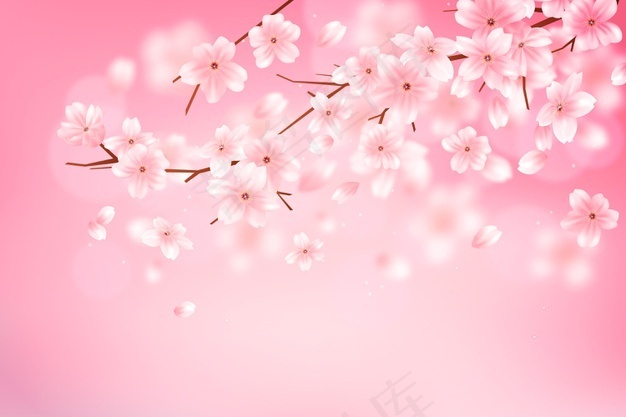 渐变樱花枝背景eps,ai矢量模版下载