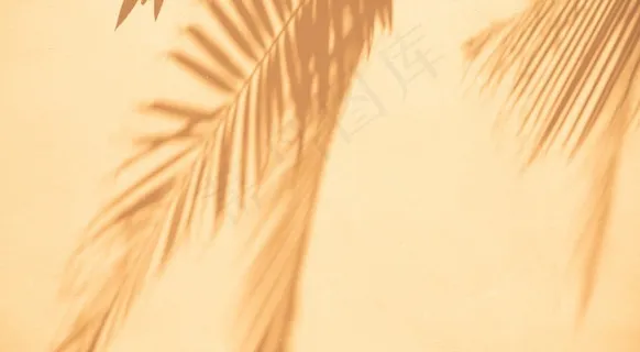 白色墙壁上抽象的阴影背景棕榈叶。 白色墙壁上抽象的阴影背景棕榈叶。