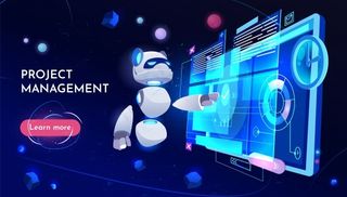 项目管理登录页