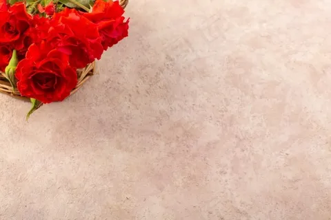 俯视红玫瑰美丽的红色花朵孤立在桌子和粉红色 俯视红玫瑰美丽的红色花朵孤立在桌子和粉红色