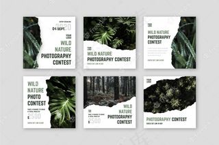 野外摄影大赛模板
