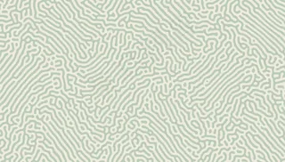 自然有机线条图案背景