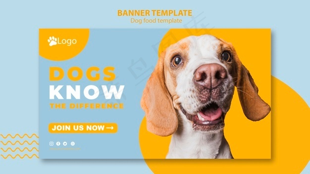 宠物店横幅banner模板概念psd模版下载