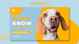 宠物店横幅banner模板概念