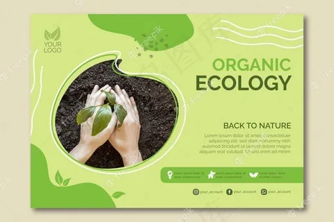 有机生态模板设计