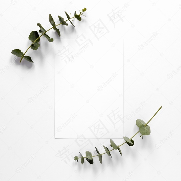 给树枝留一张空白纸