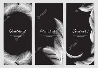 羽毛横幅banner模板。现实白天鹅羽毛背景