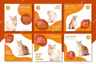 动物性食品模板