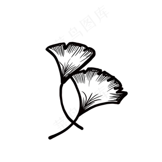 两片扇形叶子创意装饰免抠