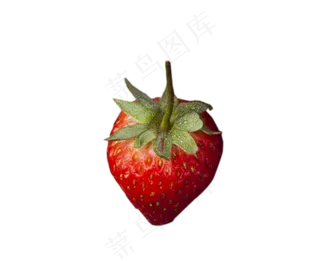 营养健康的草莓好吃
