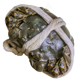 一只大闸蟹,免抠元素