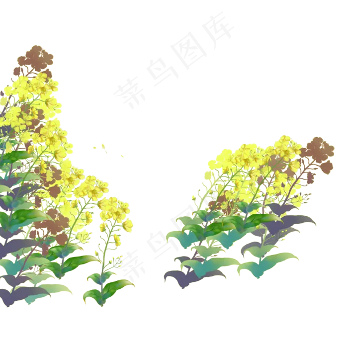 春天黄色花朵下载(2000X2000(DPI:300))psd模版下载