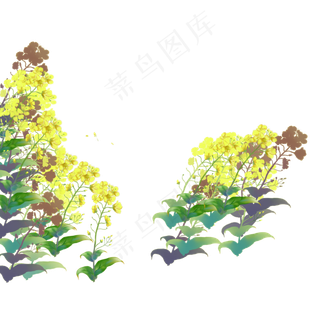 春天黄色花朵下载