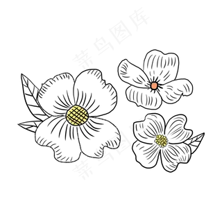 黑色线条矢量山茱萸花