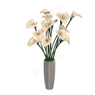 一个马蹄莲的花瓶