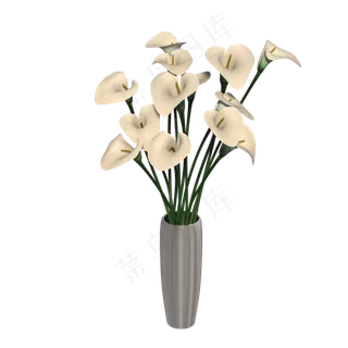 一个马蹄莲的花瓶