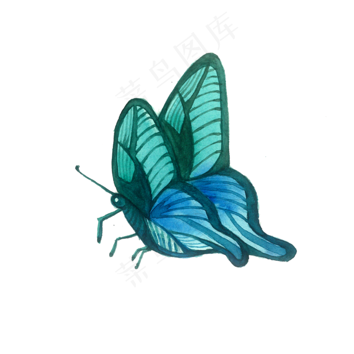 蓝绿蝴蝶翅膀昆虫PNG渐变,免抠元素